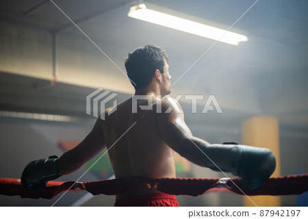 Rear view of muscular man in boxing gloves 87942197