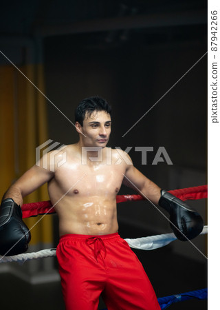 Dedicated sportsman in boxing gloves Dedicated sportsman in boxing gloves 87942266