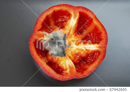 fungal mold on red sweet pepper. food vitamin vegetables and storage of fruits from spoilage fungal mold on red sweet pepper. food vitamin vegetables and storage of fruits from spoilage 87942605