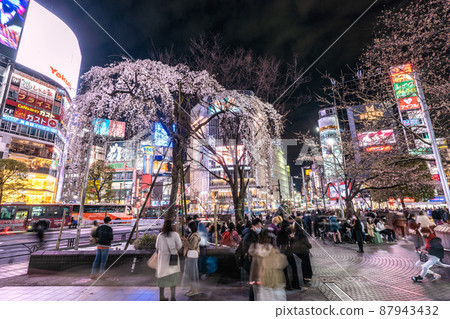 Tokyo cityscape of Japan March 21st, the last day of spread prevention. Busy Shibuya ... Hachiko ... The commemorative weeping cherry blossoms are in full bloom = 21st 87943432