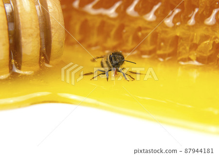 honey bee on the background of fresh honeycomb. insects and organic vitamin food 87944181