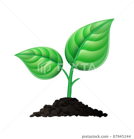 Sprout plant in soil with two leaves. Seedling realistic sign. Sprout plant in soil with two leaves. Seedling realistic sign. 87945244