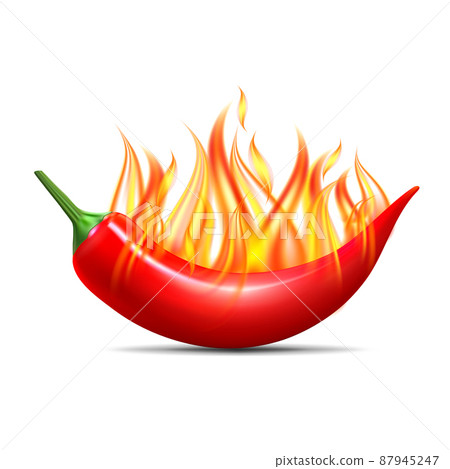 Red hot flaming chili pepper pod. Design for culinary products, spice package, recipe or cooking book. Red hot flaming chili pepper pod. Design for culinary products, spice package, recipe or cooking book. 87945247