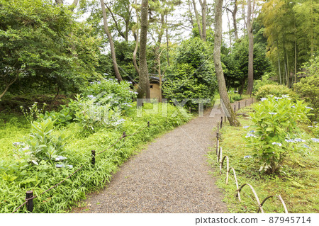 Sankeien, a scenic spot in Honmoku, Naka-ku, Yokohama City, Kanagawa Prefecture, where the fresh green is dazzling Sankeien, a scenic spot in Honmoku, Naka-ku, Yokohama City, Kanagawa Prefecture, where the fresh green is dazzling 87945714