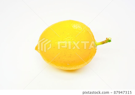 Setoda Yellow Lemon Setoda Yellow Lemon 87947315
