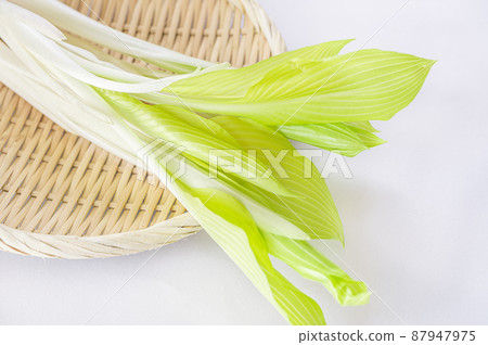 Spring taste Urui Spring taste Urui 87947975