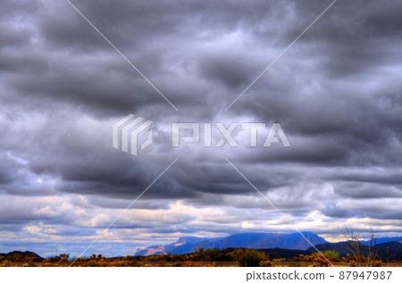 Sonora Desert 87947987