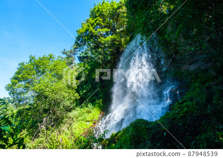 Maiden Falls (Tateshina / Yokotani Valley) Maiden Falls (Tateshina / Yokotani Valley) 87948539