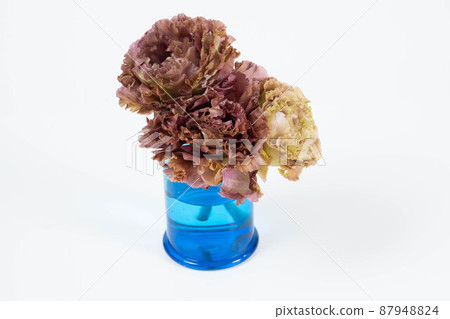 白色背景上的鮮花，對比鮮明 87948824