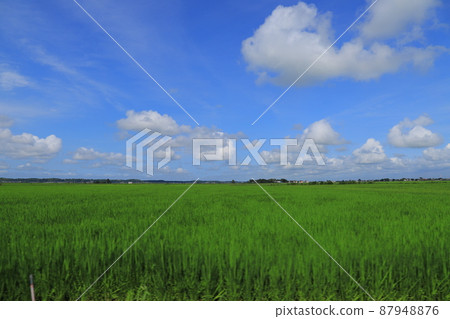 田園風光，藍天白雲 87948876