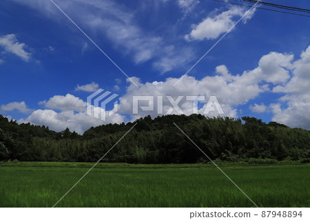 田園風光,藍天白雲 田園風光,藍天白雲 87948894