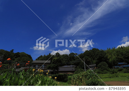 Rural scenery, blue sky and clouds Rural scenery, blue sky and clouds 87948895