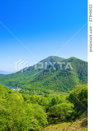 赤城公園 大沼赤城小沼街區 關東親友路觀 初夏風景 87949082