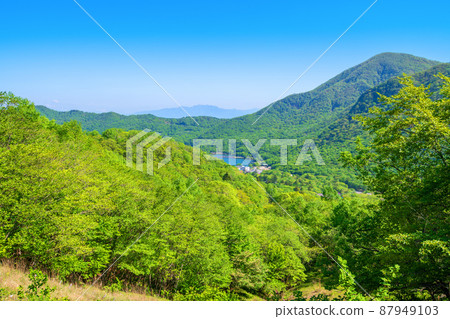 赤城公園 大沼赤城小沼街區 關東親友路觀 初夏風景 87949103