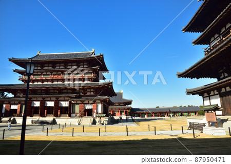 《Nara Prefecture》 World Cultural Heritage Cultural Heritage of Ancient Nara Hosou Omotoyama Yakushiji Temple / 87950471