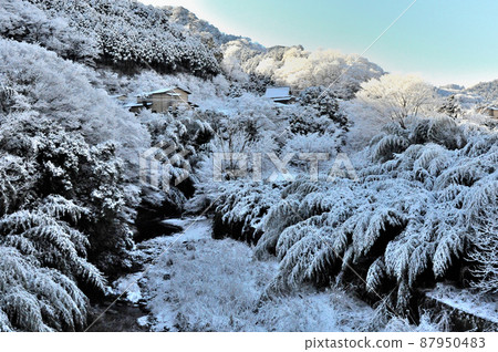 丹澤腳下村莊的雪景 丹澤腳下村莊的雪景 87950483
