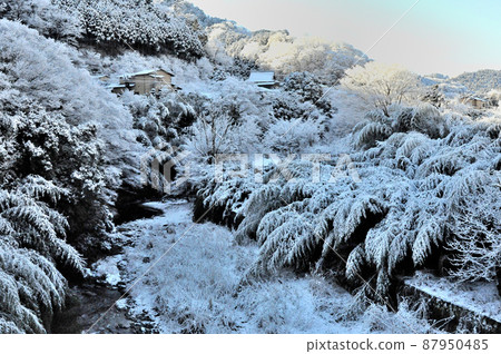 丹澤腳下村莊的雪景 丹澤腳下村莊的雪景 87950485