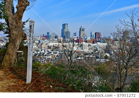 View of Hirose River and Sendai city from the precincts of Atago Shrine, Hirose River, City of Trees 87951272