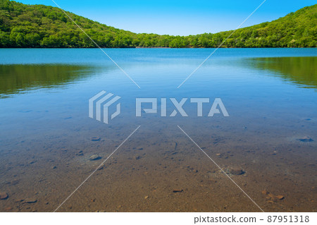 赤城公園 大沼湖長廊 初夏風景 87951318