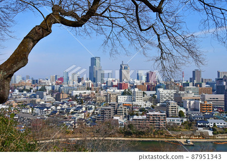 從愛宕神社、廣瀨川、樹木之城的區域看廣瀨川和仙台市 從愛宕神社、廣瀨川、樹木之城的區域看廣瀨川和仙台市 87951343