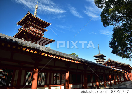 《Nara Prefecture》 World Cultural Heritage Cultural Heritage of Ancient Nara Hosou Omotoyama Yakushiji Temple / 《Nara Prefecture》 World Cultural Heritage Cultural Heritage of Ancient Nara Hosou Omotoyama Yakushiji Temple / 87951737