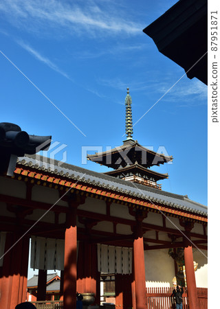 《Nara Prefecture》 World Cultural Heritage Cultural Heritage of Ancient Nara Hosou Omotoyama Yakushiji Temple / 87951871