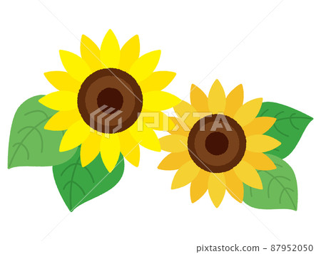 向日葵/夏天的形象 向日葵/夏天的形象 87952050