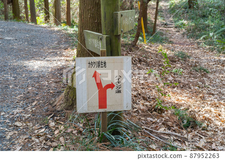 Manyo Nature Park Katakuri no Sato Branch 87952263