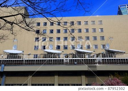 澀谷景觀 87952302