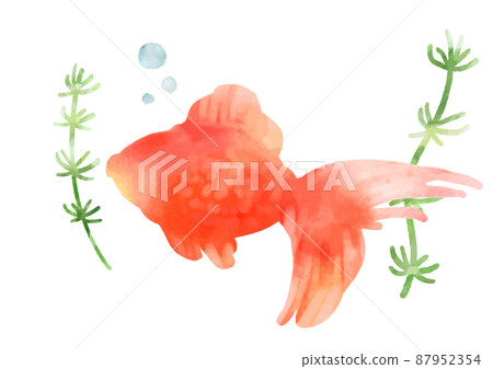 水彩風格美麗的金魚圖標 87952354