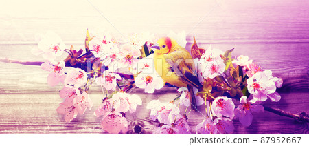 Great tit sitting on a tree branch in spring weather 87952667