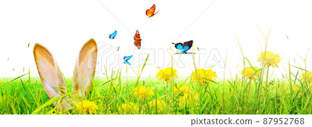 Funny Easter bunny. Happy Easter holiday concept. 87952768