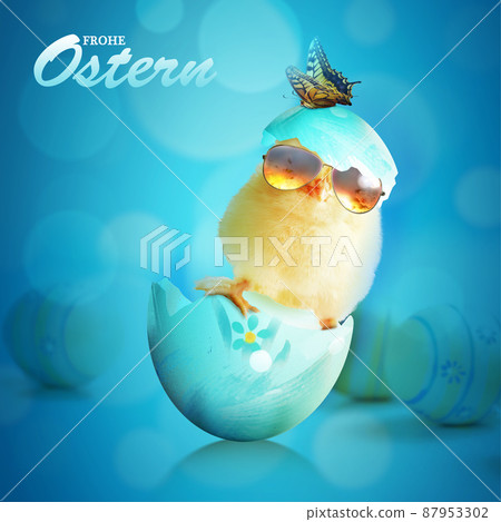 Funny cute baby chick with sunglasses and egg. Funny cute baby chick with sunglasses and egg. 87953302