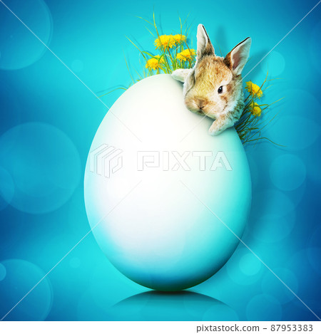 Funny Easter bunny. Happy Easter holiday concept. 87953383