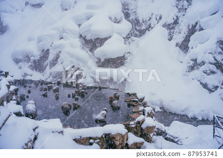 Snow monkey in Jigokudani Monkey Park 87953741