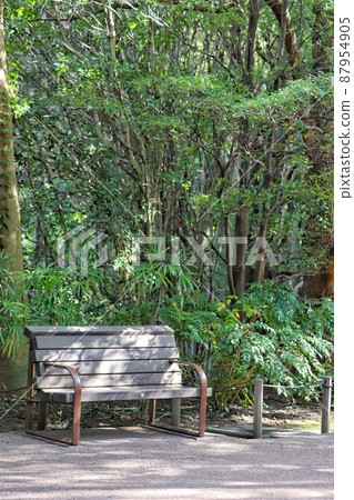 樹木環繞的陰涼長凳（垂直） 87954905