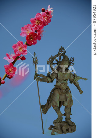 Red plum and Mochikokuten Red plum and Mochikokuten 87954923