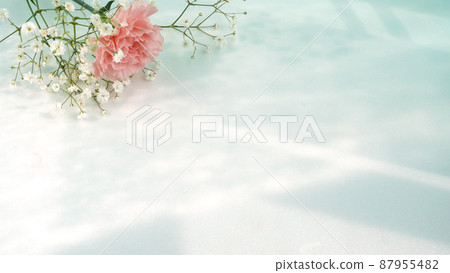 Pink carnations on a white background in one corner 87955482