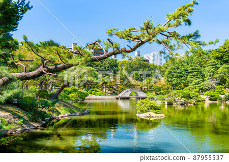 廣島縣縮景園-沖洗池/懸垂的彩虹橋- 廣島縣縮景園-沖洗池/懸垂的彩虹橋- 87955537