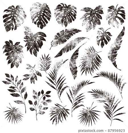Tropical Leaf Material Collection, Tropical Leaf Material Collection, 87956923