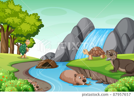 Waterfall in the forest with tortoises and beavers 87957657