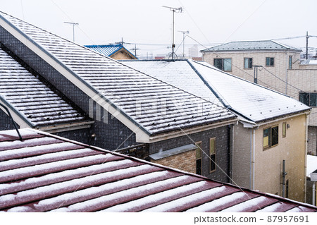 Snow in late March in Tokyo Snow in late March in Tokyo 87957691