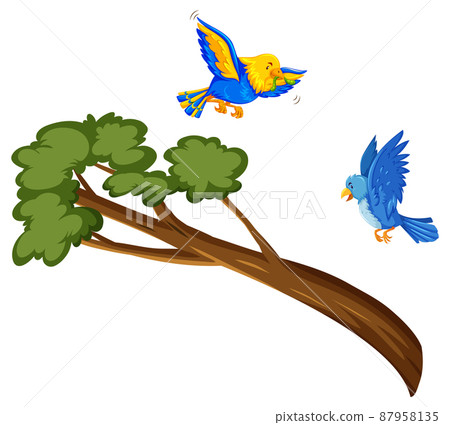 Two birds flying over branch 87958135