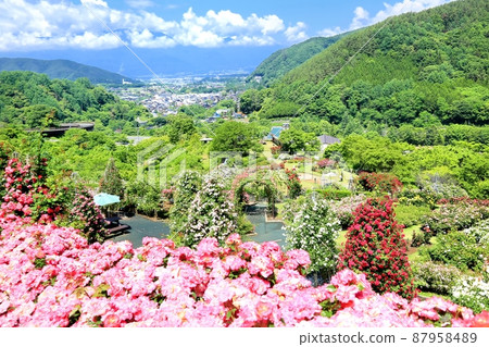 Takato Shinwanooka Rose Garden Takato Shinwanooka Rose Garden 87958489