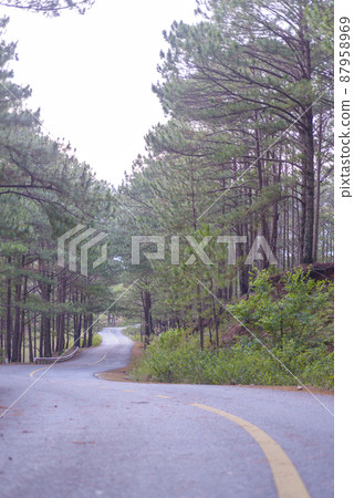 Landscape photo: the way to the top of Langbiang. Landscape photo: the way to the top of Langbiang. 87958969