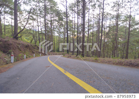Landscape photo: the way to the top of Langbiang. Landscape photo: the way to the top of Langbiang. 87958973