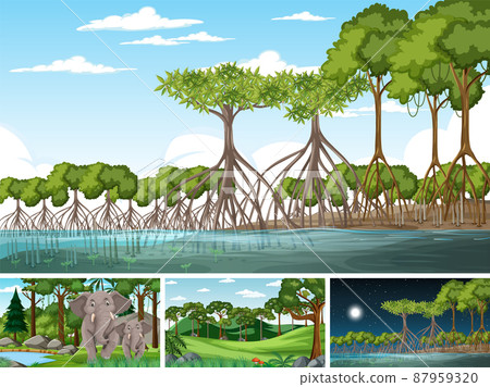 Scene with wild animals in the woods 87959320
