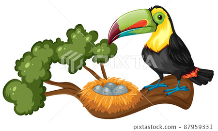 Toucan and bird nest on the branch 87959331