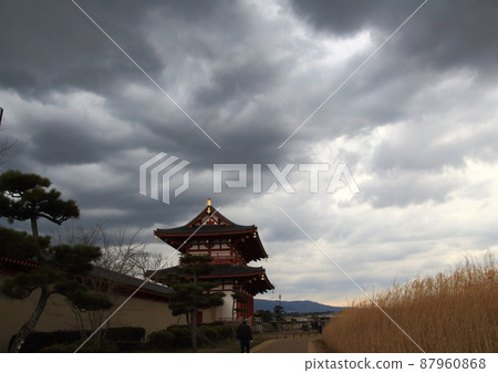 奈良市平城宮遺址上散佈著黑雲 奈良市平城宮遺址上散佈著黑雲 87960868