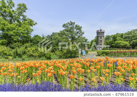 Yurigahara Park Sapporo City 87961519